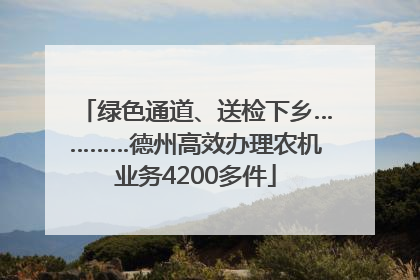 绿色通道、送检下乡…………德州高效办理农机业务4200多件