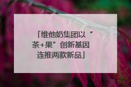维他奶集团以“茶+果”创新基因连推两款新品