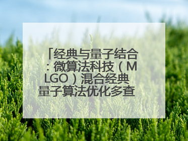 经典与量子结合：微算法科技（MLGO）混合经典量子算法优化多查询问题