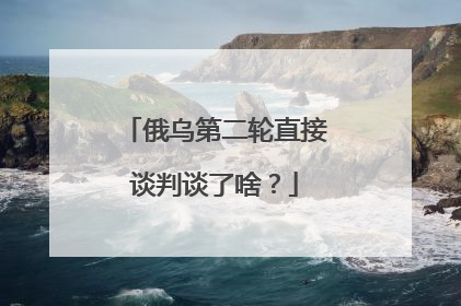 俄乌第二轮直接谈判谈了啥？