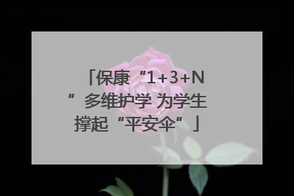 保康“1+3+N”多维护学 为学生撑起“平安伞”