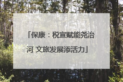 保康：税宣赋能尧治河 文旅发展添活力