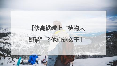 修高铁碰上“植物大熊猫”？他们这么干