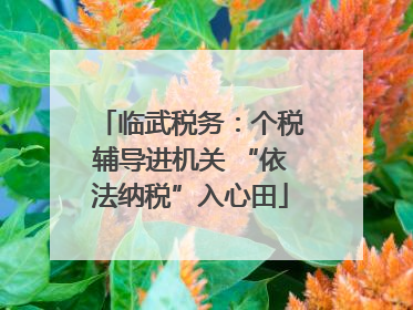 临武税务：个税辅导进机关 “依法纳税”入心田