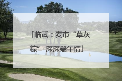 临武：麦市“草灰粽” 深深端午情
