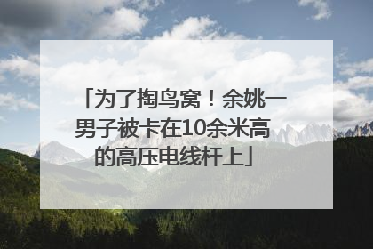 为了掏鸟窝！余姚一男子被卡在10余米高的高压电线杆上