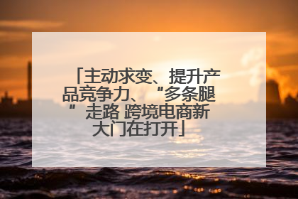 主动求变、提升产品竞争力、“多条腿”走路 跨境电商新大门在打开