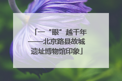 一“眼”越千年——北京路县故城遗址博物馆印象