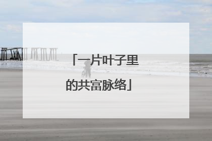 一片叶子里的共富脉络