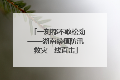 一刻都不敢松劲——湖南桑植防汛救灾一线直击