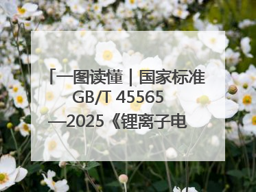 一图读懂｜国家标准GB/T 45565—2025《锂离子电池编码规则》