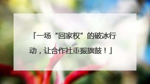 一场“回家权”的破冰行动，让合作社重振旗鼓！