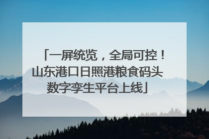 一屏统览，全局可控！山东港口日照港粮食码头数字孪生平台上线