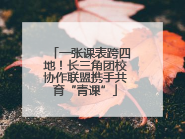一张课表跨四地！长三角团校协作联盟携手共育“青课”