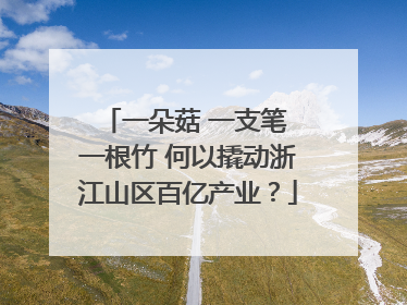 一朵菇 一支笔 一根竹 何以撬动浙江山区百亿产业？