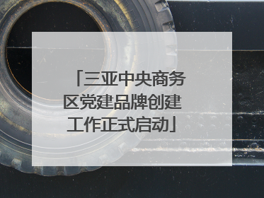 三亚中央商务区党建品牌创建工作正式启动
