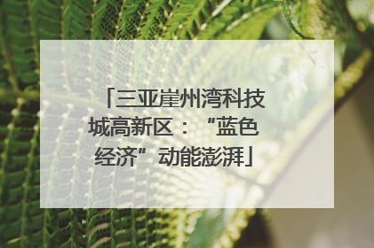三亚崖州湾科技城高新区：“蓝色经济”动能澎湃