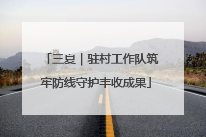 三夏｜驻村工作队筑牢防线守护丰收成果