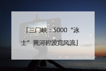 三门峡：5000“泳士”黄河碧波竞风流