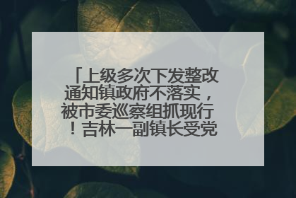 上级多次下发整改通知镇政府不落实，被市委巡察组抓现行！吉林一副镇长受党内警告处分