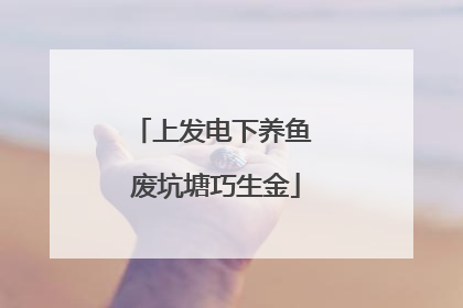 上发电下养鱼 废坑塘巧生金