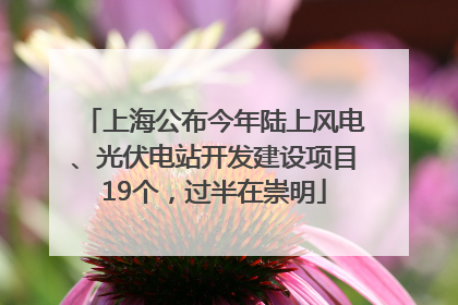 上海公布今年陆上风电、光伏电站开发建设项目19个，过半在崇明