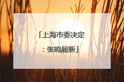 上海市委决定：张鸣履新