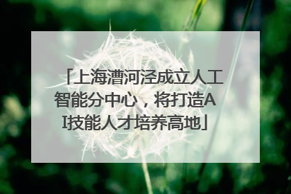 上海漕河泾成立人工智能分中心，将打造AI技能人才培养高地
