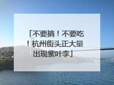 不要摘！不要吃！杭州街头正大量出现紫叶李