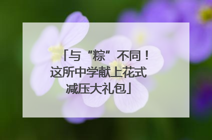 与“粽”不同！这所中学献上花式减压大礼包