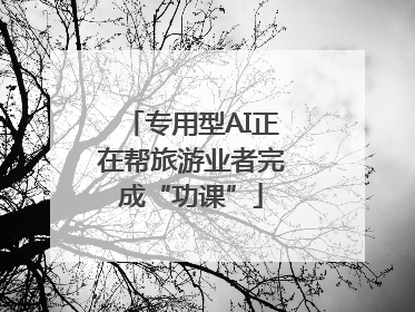 专用型AI正在帮旅游业者完成“功课”