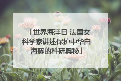 世界海洋日 法国女科学家讲述保护中华白海豚的科研奥秘