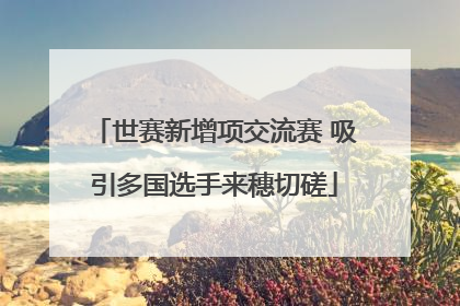世赛新增项交流赛 吸引多国选手来穗切磋