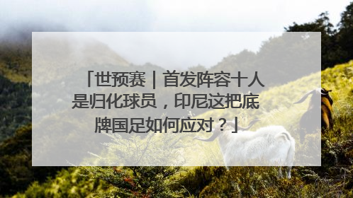 世预赛｜首发阵容十人是归化球员，印尼这把底牌国足如何应对？