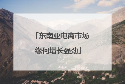 东南亚电商市场缘何增长强劲