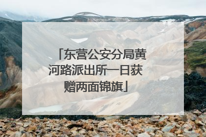 东营公安分局黄河路派出所一日获赠两面锦旗