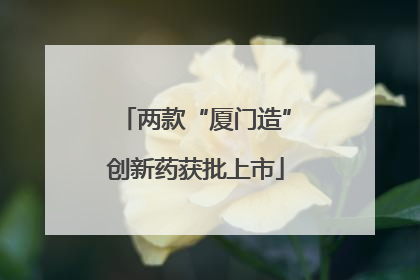 两款“厦门造”创新药获批上市