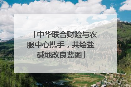 中华联合财险与农服中心携手，共绘盐碱地改良蓝图