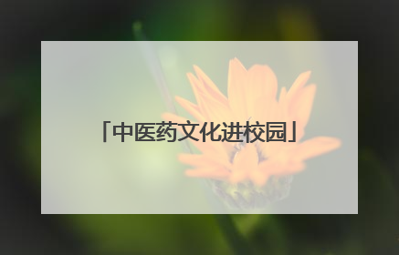 中医药文化进校园