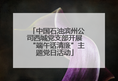 中国石油滨州公司西城党支部开展“端午话清廉”主题党日活动
