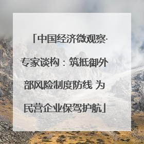 中国经济微观察·专家谈构：筑抵御外部风险制度防线 为民营企业保驾护航