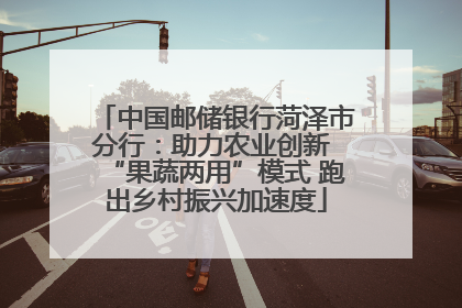 中国邮储银行菏泽市分行：助力农业创新 “果蔬两用”模式 跑出乡村振兴加速度