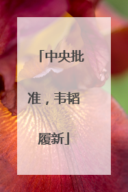 中央批准，韦韬履新