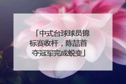 中式台球球员锦标赛收杆，陈喆首夺冠军完成蜕变