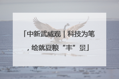 中新武威观｜科技为笔，绘就夏粮“丰”景