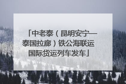 中老泰（昆明安宁—泰国拉廊）铁公海联运国际货运列车发车