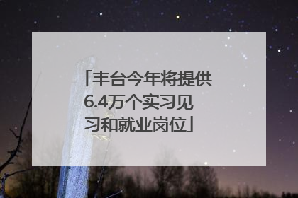 丰台今年将提供6.4万个实习见习和就业岗位