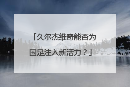 久尔杰维奇能否为国足注入新活力？