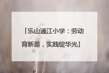 乐山通江小学：劳动育新苗，实践绽华光