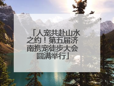 人宠共赴山水之约！第五届济南携宠徒步大会圆满举行